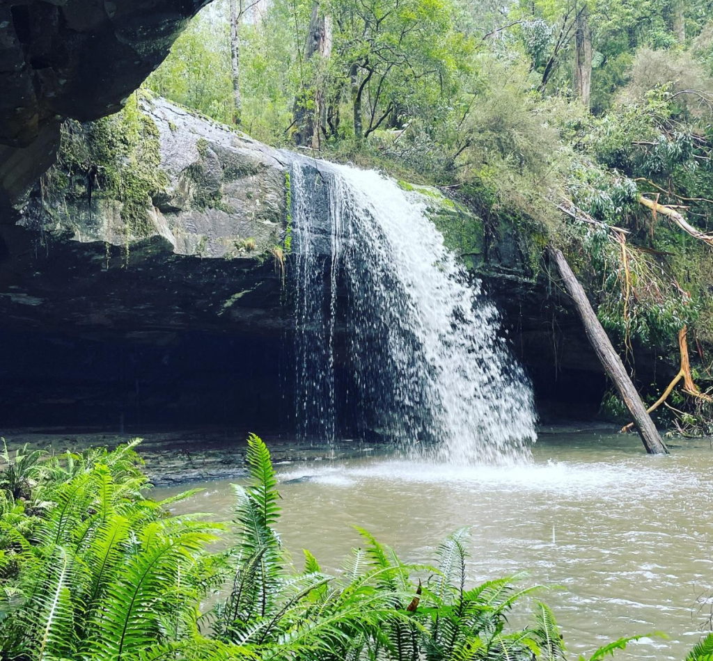 Walking and Hiking, Erskine Falls