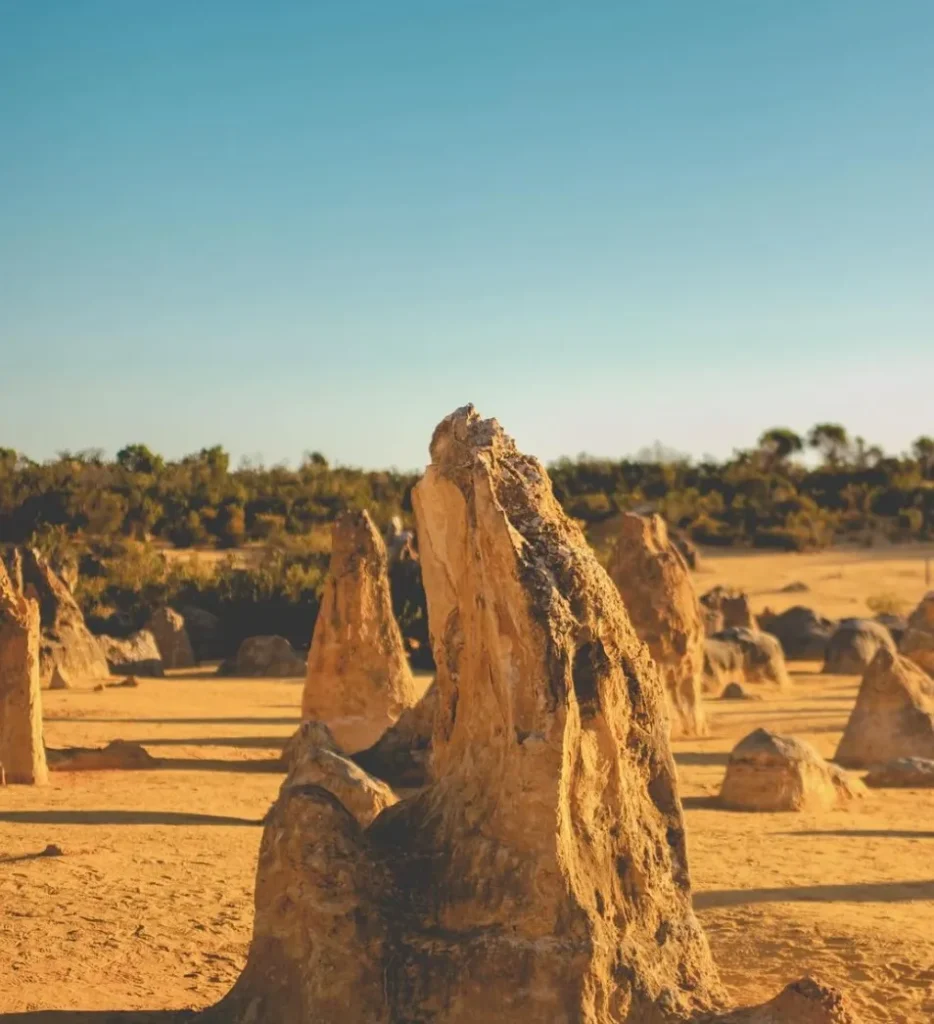 Pinnacles Desert