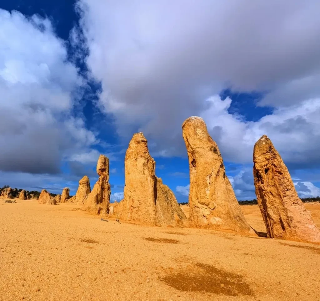 The Aboriginal Use of The Pinnacles