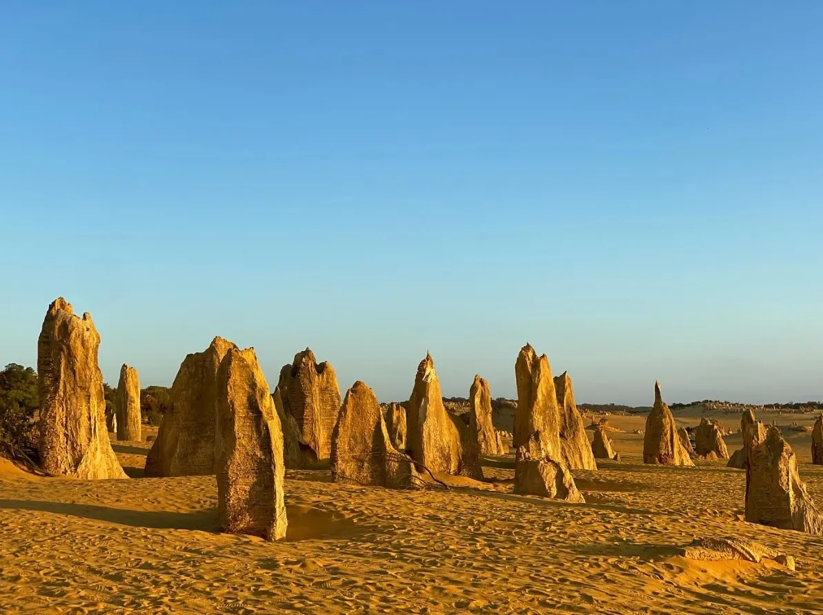 The Pinnacles Desert A Natural Wonder of Western Australia