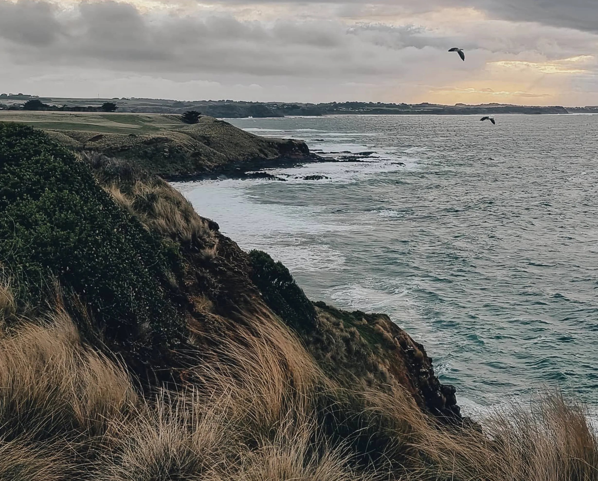 natural beauty, Phillip Island