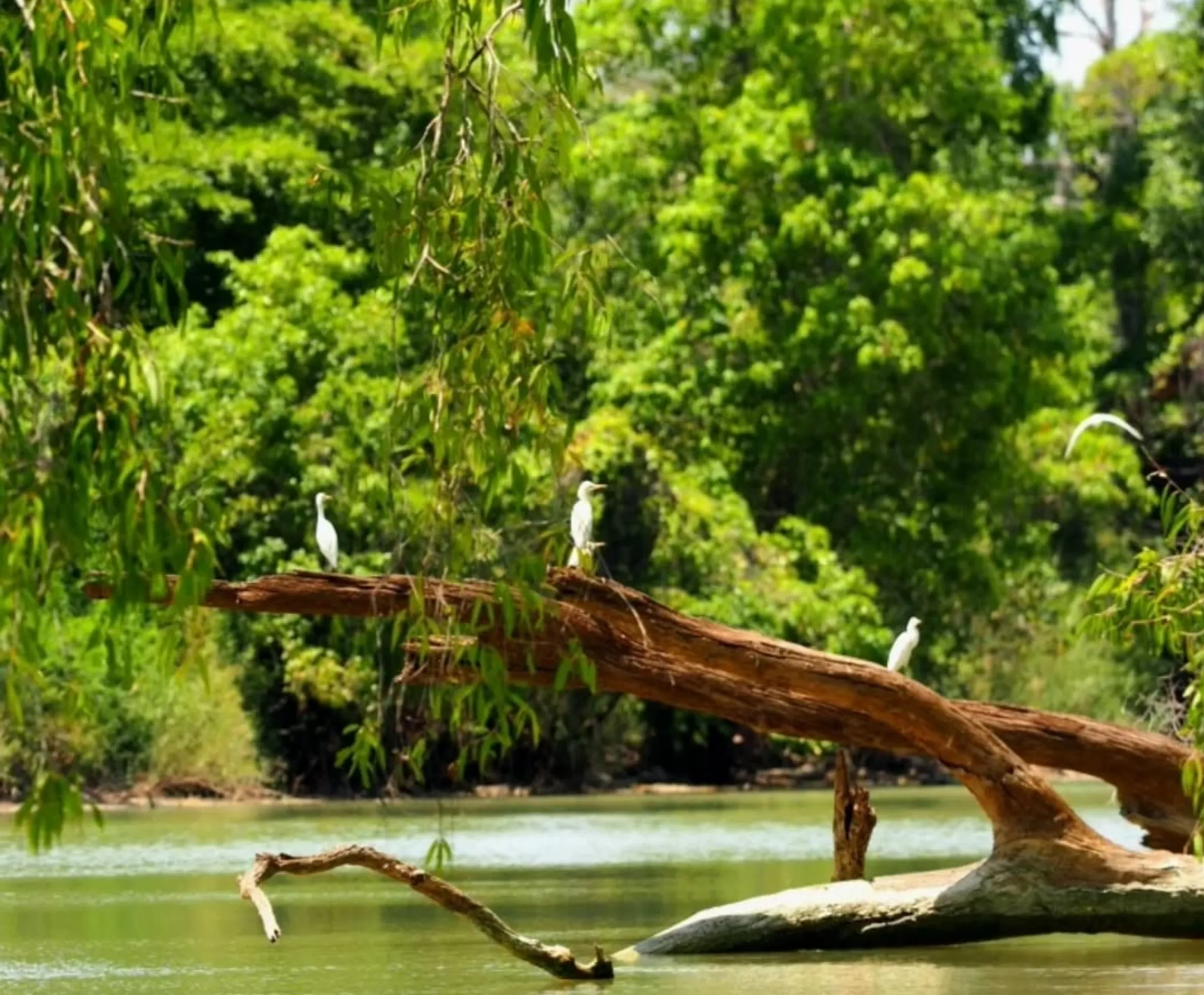 Kakadu National Park
