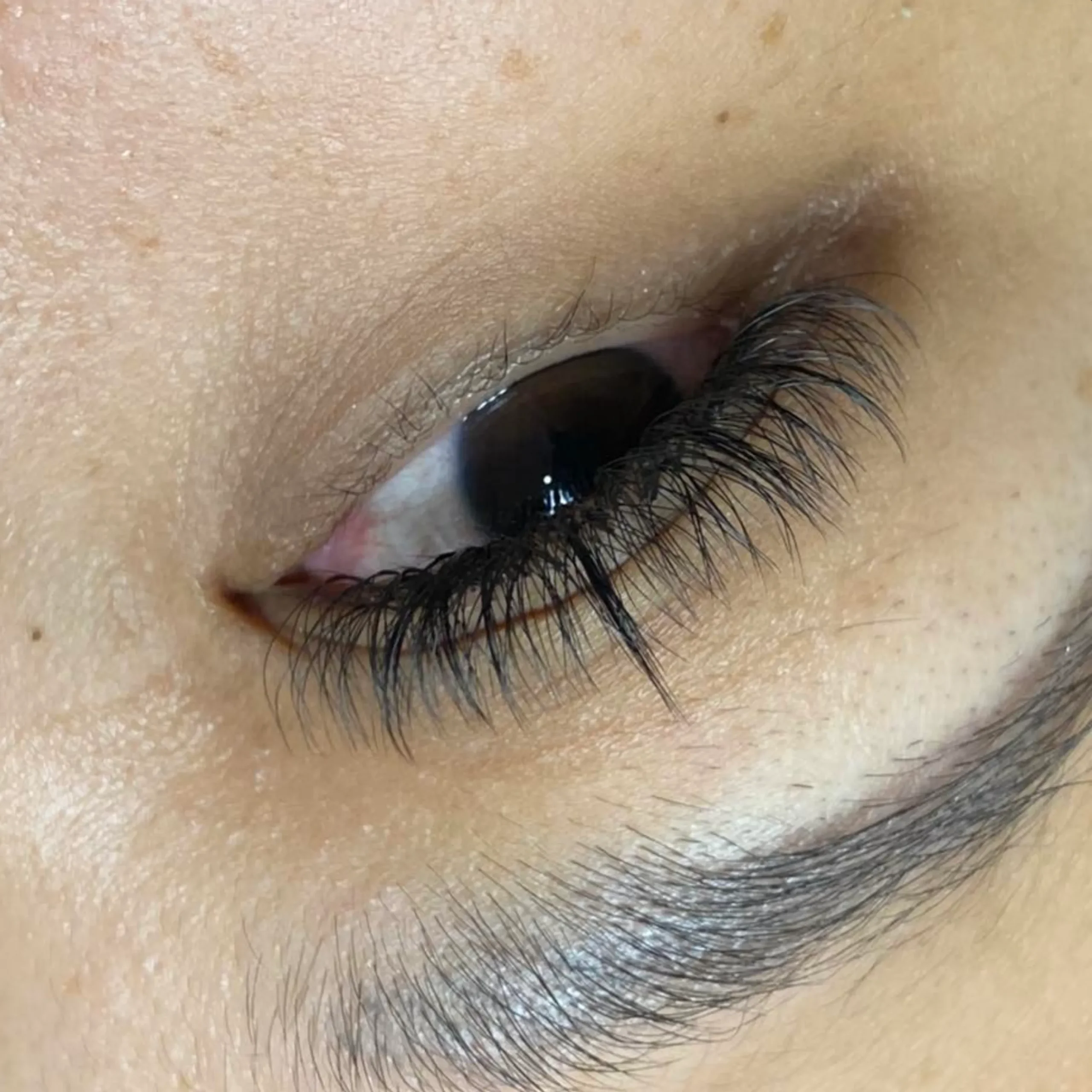 how long after eyebrow tattoo can I shower