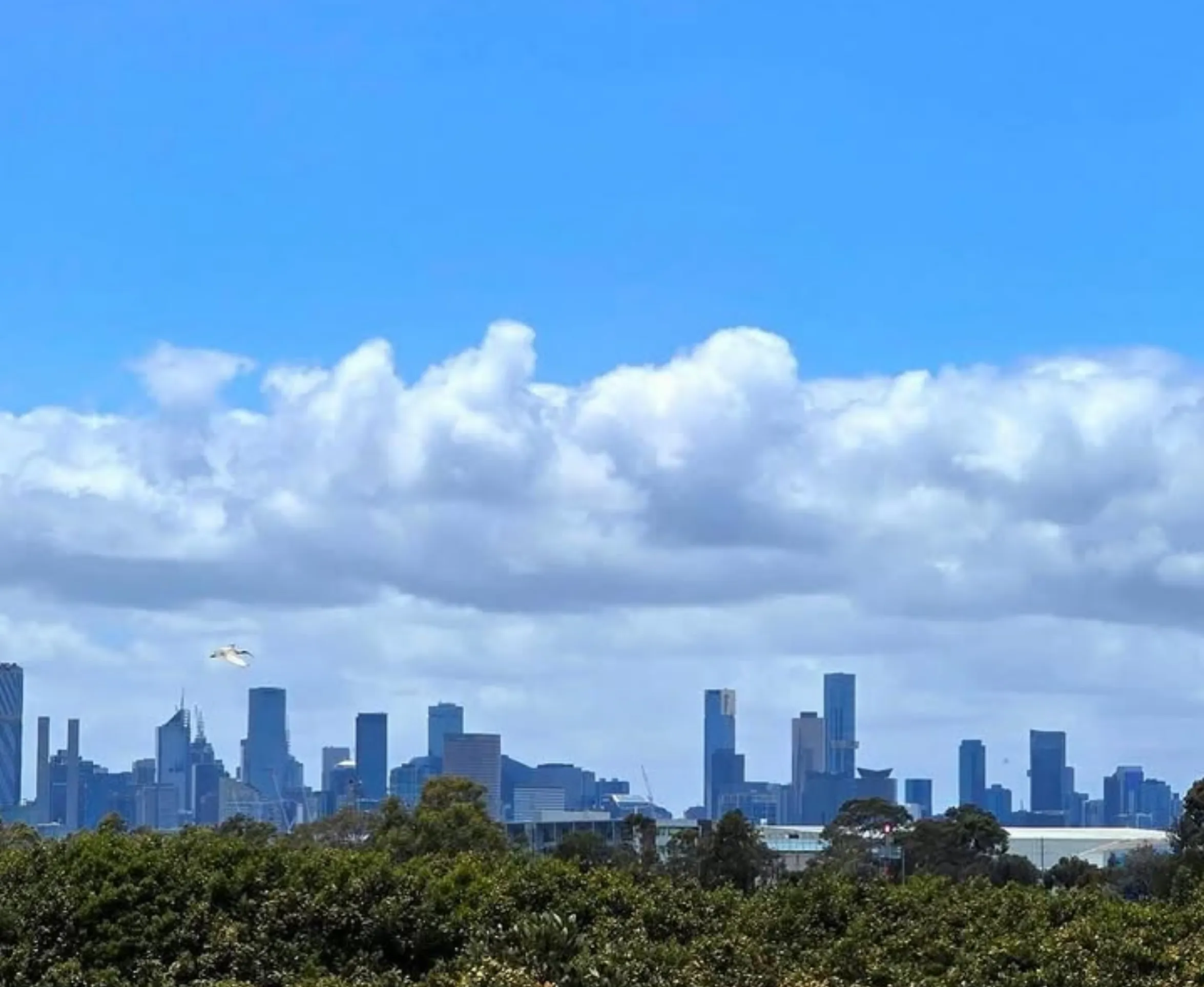 melbourne christmas weather average