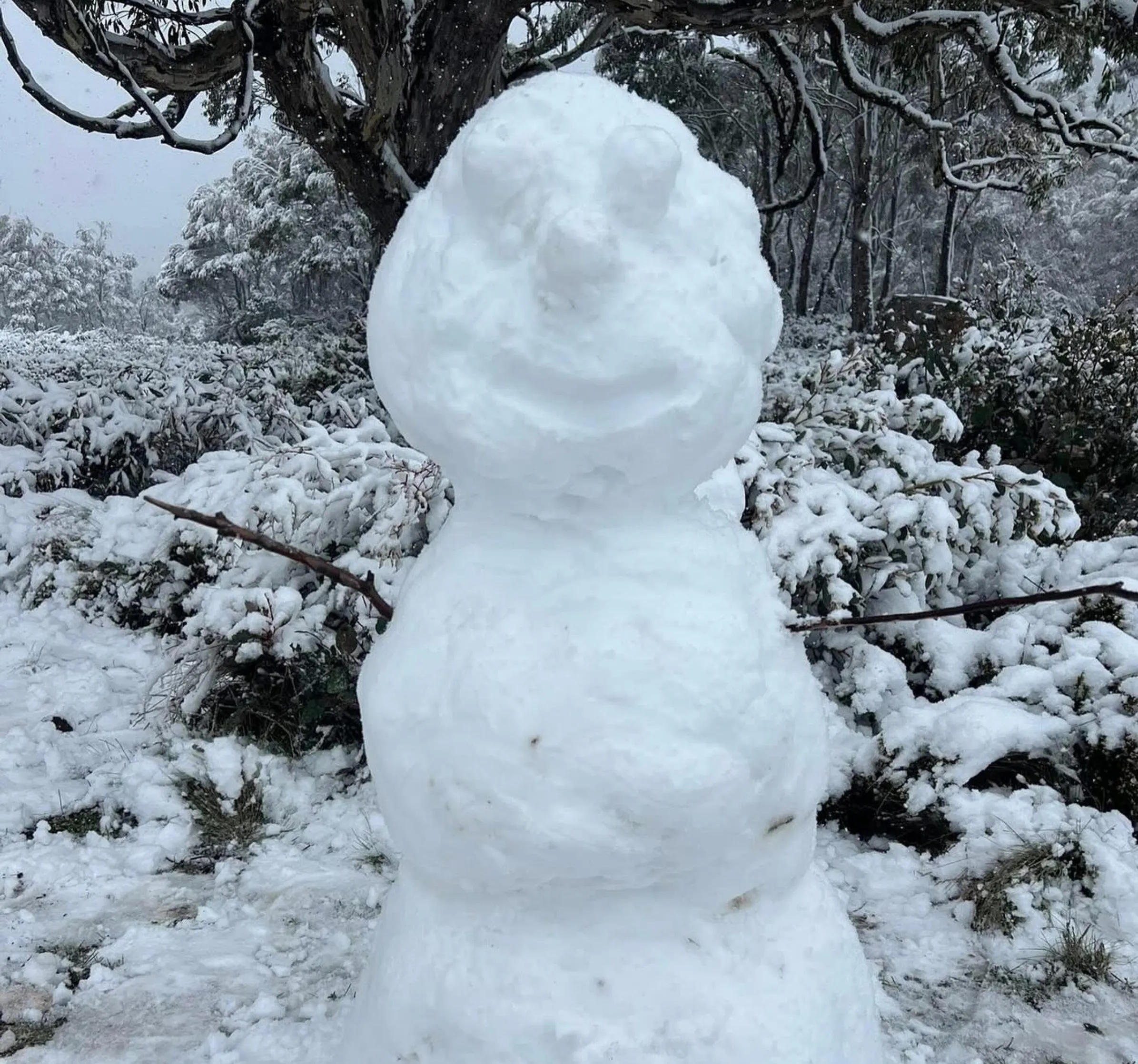 melbourne christmas weather cold change